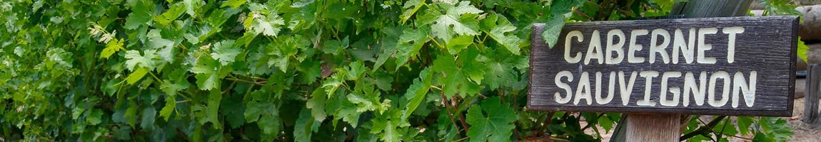 Vini Cabernet Sauvignon