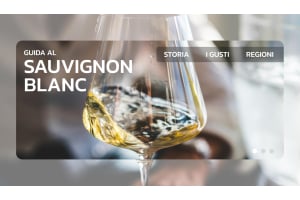 Svelare i segreti del Sauvignon Blanc: Guida definitiva a questo vino iconico