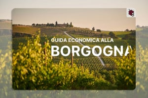 Guida economica alla Borgogna: come trovare vini di grande valore