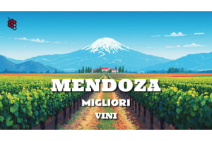 Guida ai migliori vini di Mendoza, Argentina