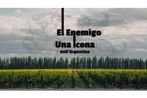 L'iconica cantina El Enemigo: Scopri i migliori vini argentini