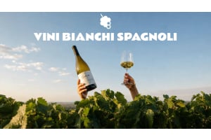 Perché il vino bianco spagnolo sta vivendo il suo momento di gloria