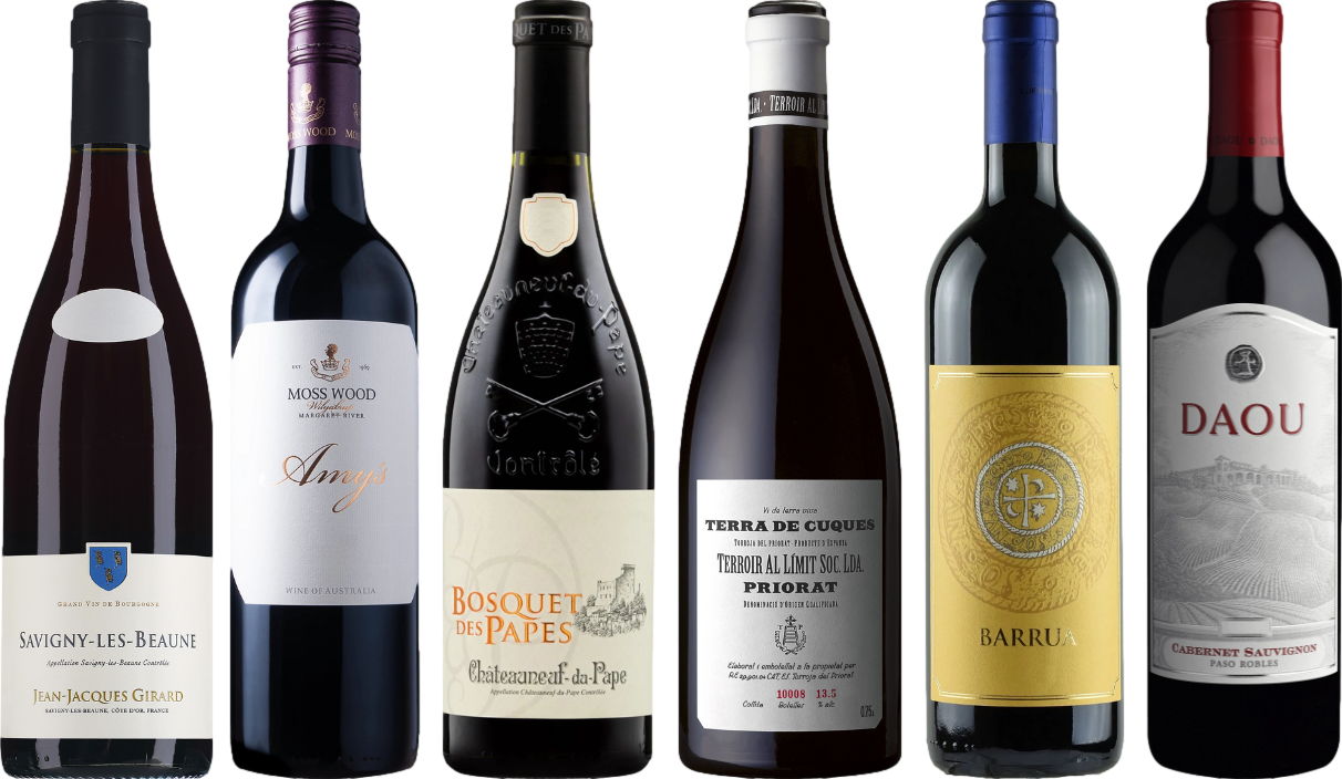 8Wines Lo Staff Sceglie il Vino Rosso Caso Degustazione