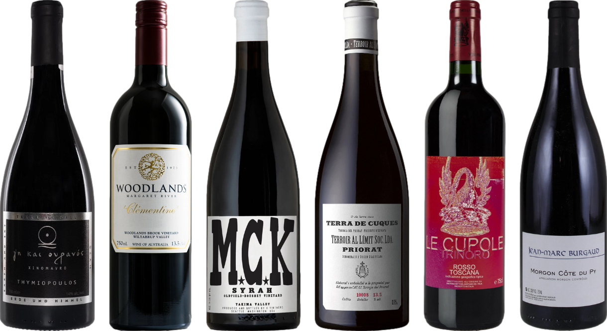 8Wines Lo Staff Sceglie il Vino Rosso Caso Degustazione