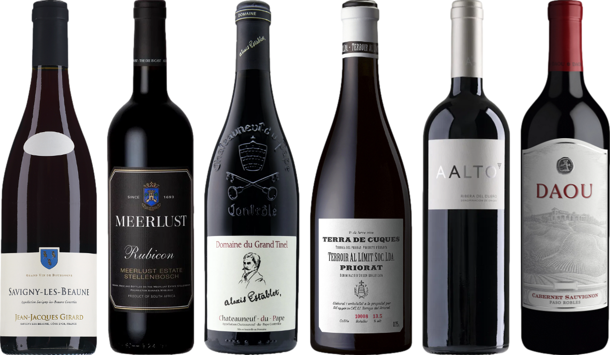 8Wines Lo Staff Sceglie il Vino Rosso Caso Degustazione