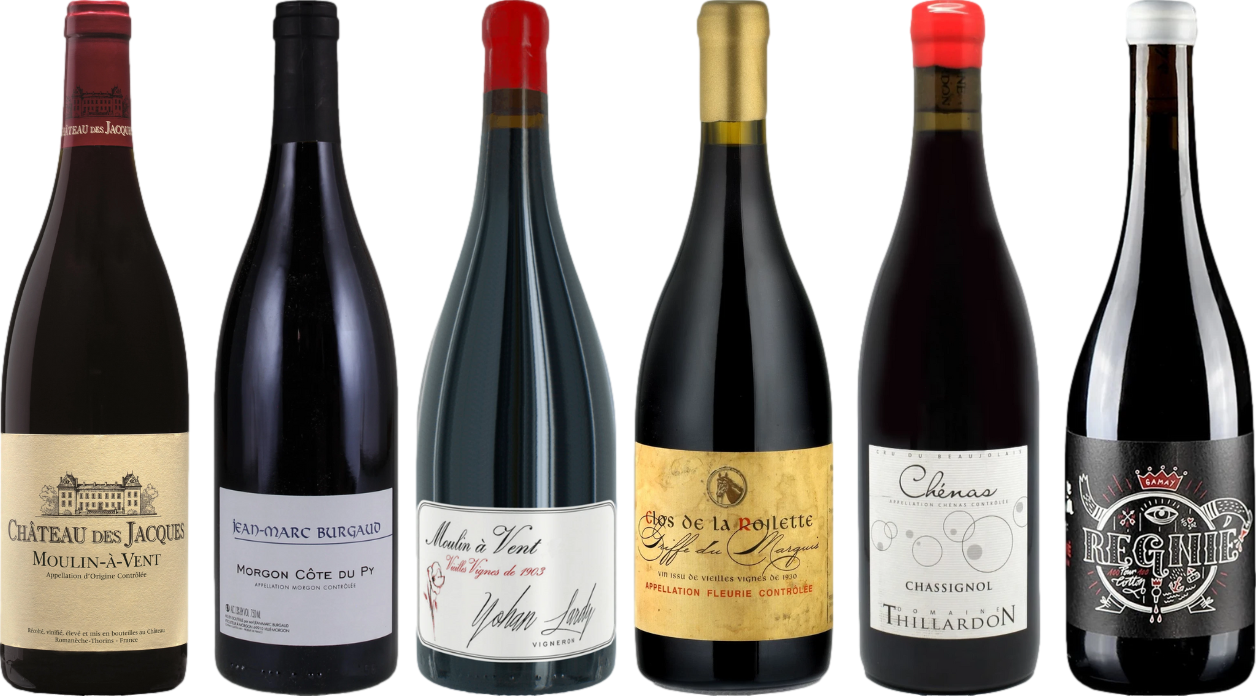 Beaujolais Caso Degustazione Premium