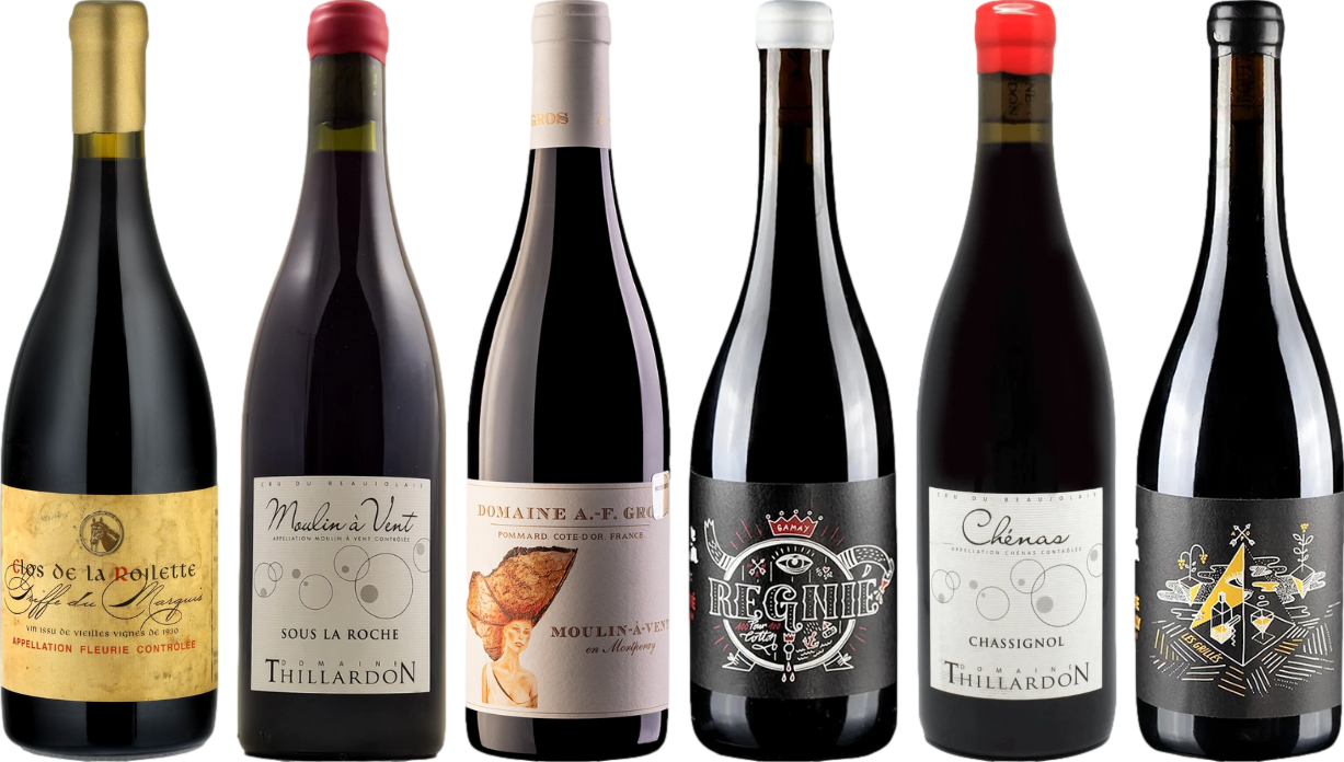 Beaujolais Caso Degustazione Premium