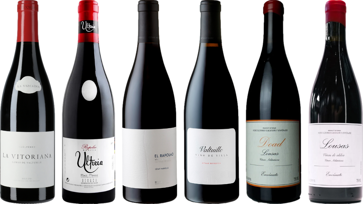 Bierzo e Galicia Mencia Caso Degustazione Premium