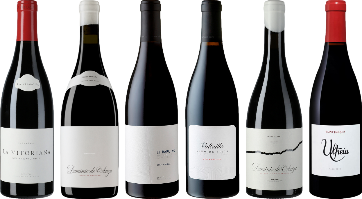 Bierzo Mencia Caso Degustazione Premium