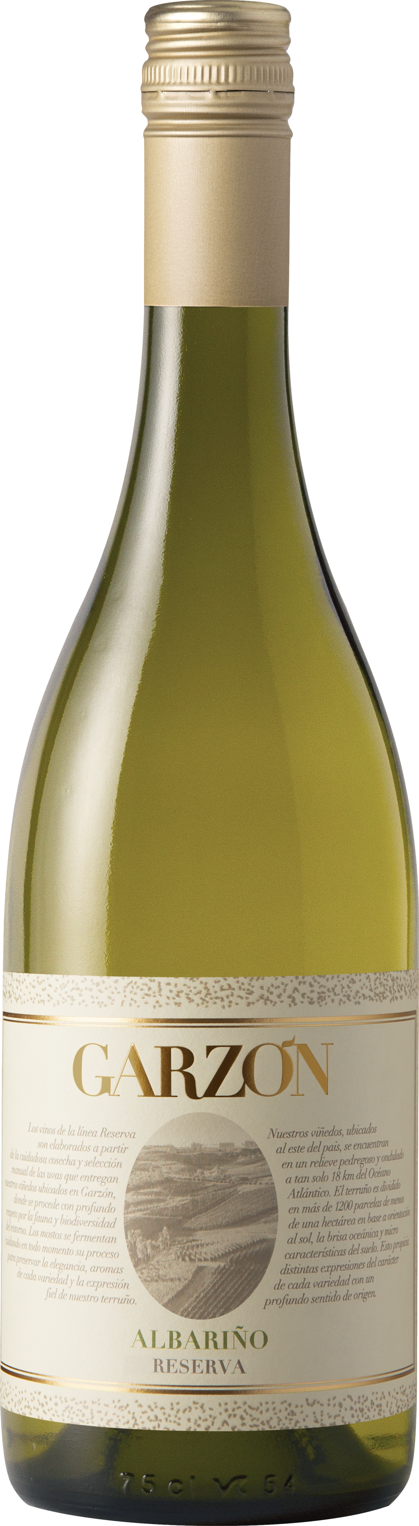 Bodega Garzon Albarino Reserva