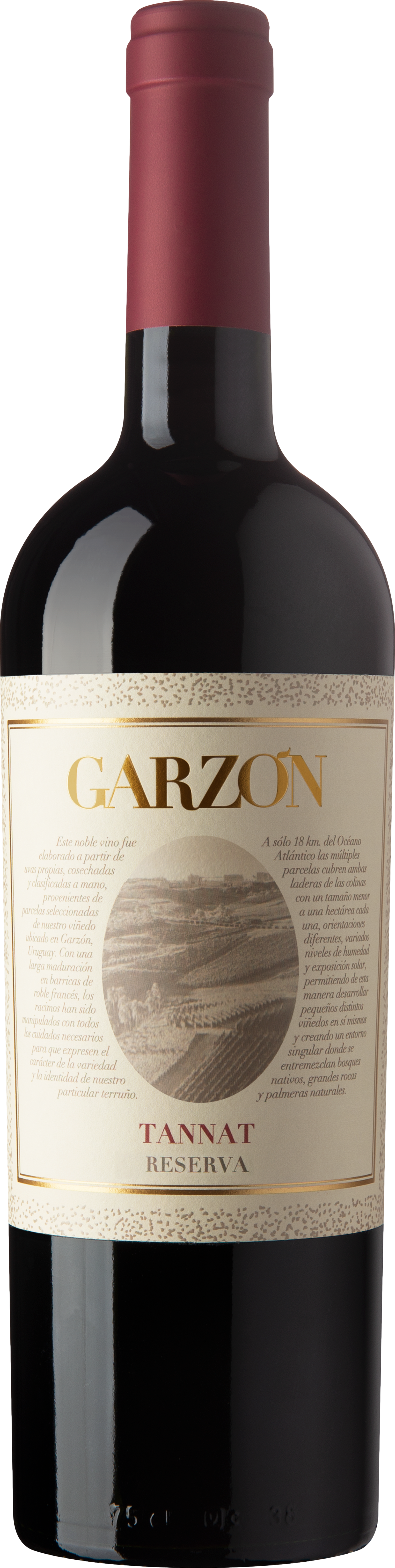 Bodega Garzon Tannat Reserva