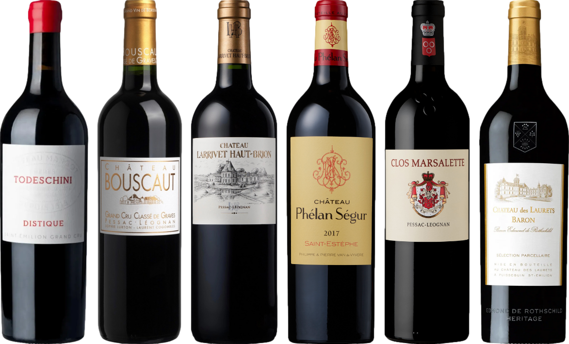 Bordeaux Rosso Caso di Degustazione