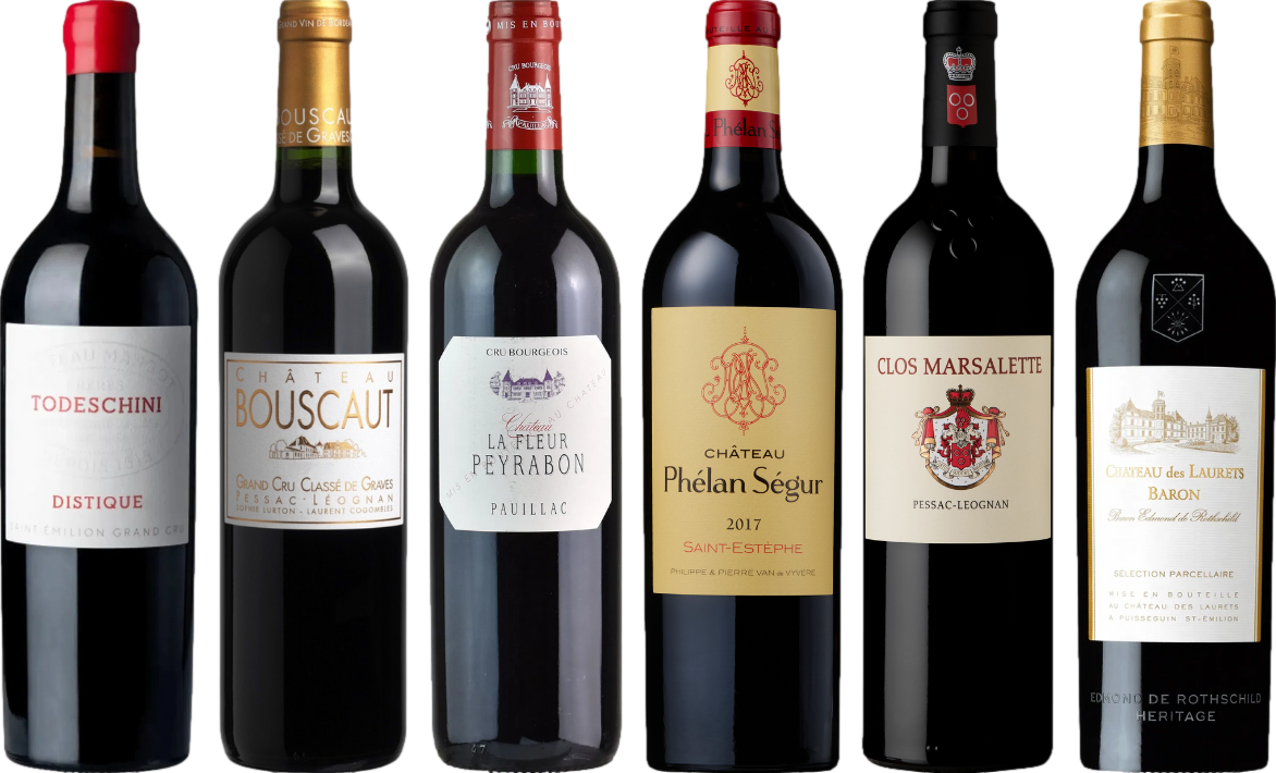 Bordeaux Rosso Caso di Degustazione