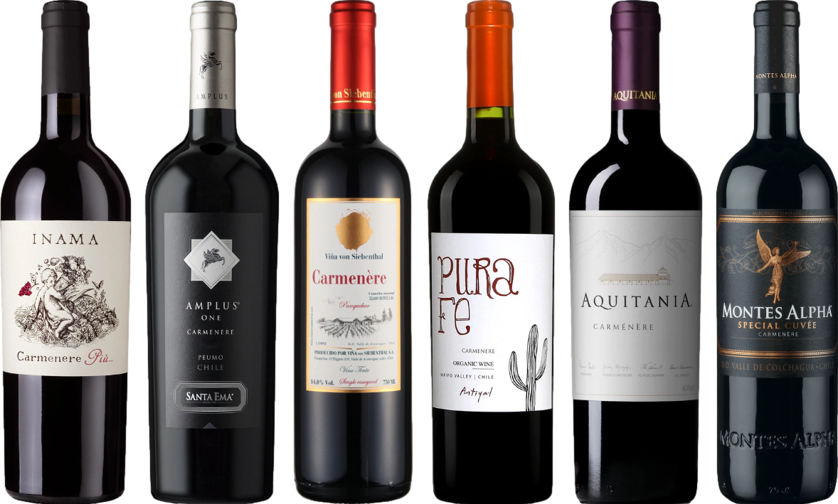 Pachetto di degustazione di Carmenere