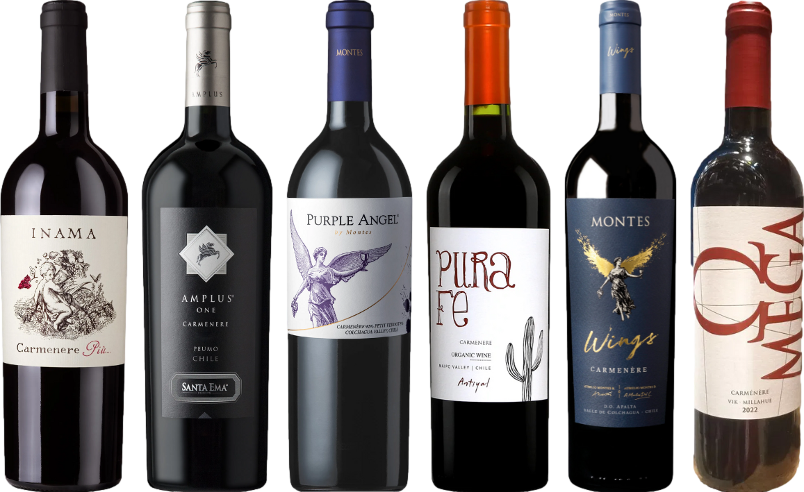 Pachetto di degustazione di Carmenere