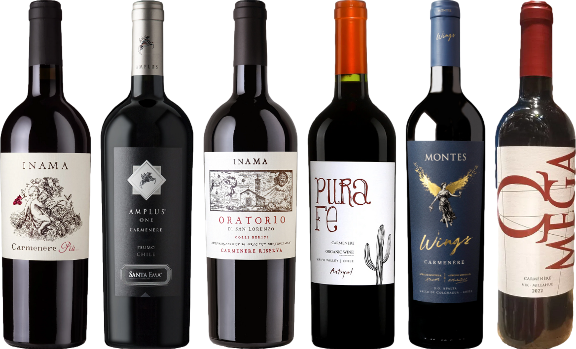 Pachetto di degustazione di Carmenere