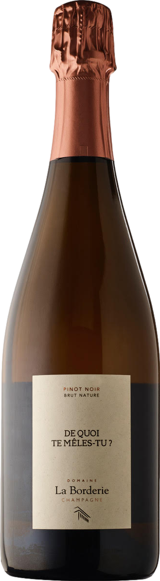 Champagne Domaine la Borderie De Quoi Te Meles Tu Blanc de Noirs Extra Brut