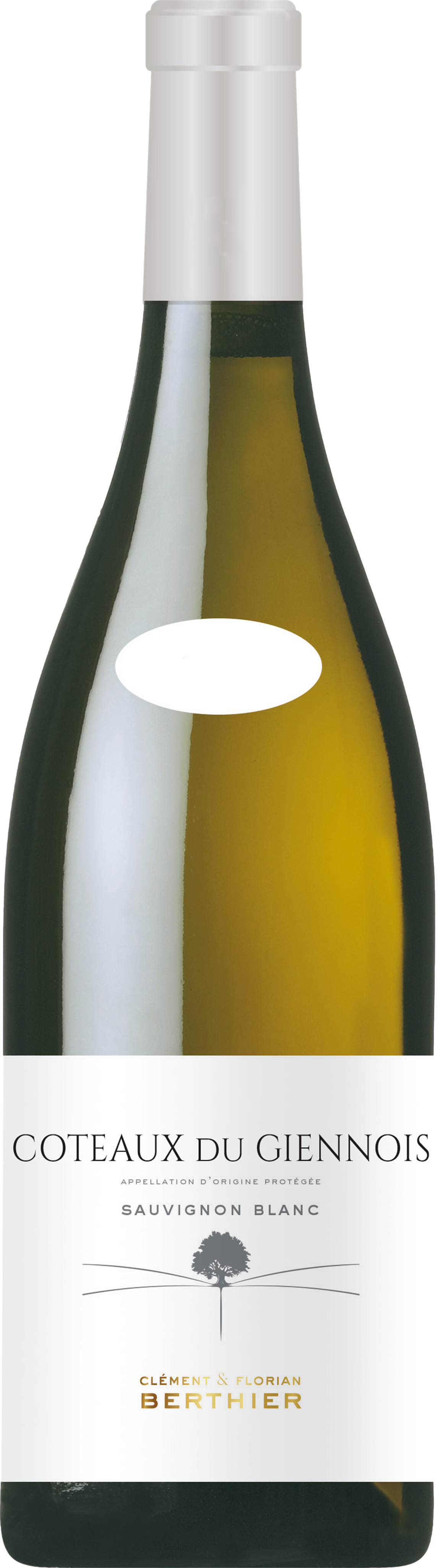 Clement & Florian Berthier Coteaux du Giennois Blanc 2024