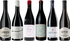 Cassetta Degustazione Premium Mencia