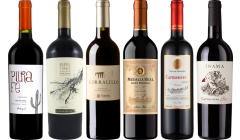 Cassetta Degustazione Carmenere