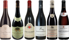 Cassetta Degustazione di Gevrey Chambertin