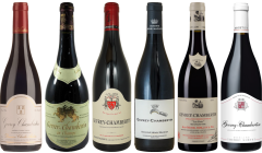 Cassetta Degustazione di Gevrey Chambertin