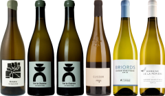 Cassetta Degustazione Premium Muscadet