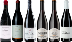 Cassetta Degustazione Premium Mencia