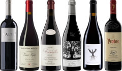 Cassetta Degustazione Premium Ribera del Duero