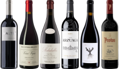 Cassetta Degustazione Premium Ribera del Duero