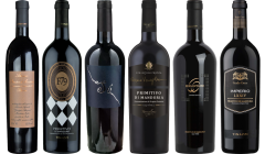 Cassetta Degustazione Premium Primitivo