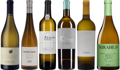 Cassetta Degustazione Premium Vini Bianchi Portoghesi