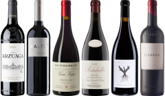 Cassetta Degustazione Premium Ribera del Duero