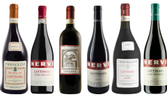 Cassetta Degustazione Premium Piemonte Gattinara