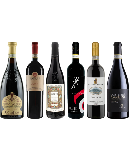 Amarone Caso Degustazione Premium