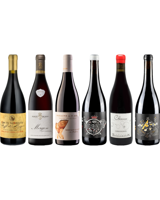 Beaujolais Caso Degustazione Premium