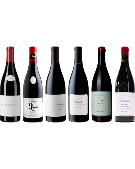 Bierzo e Galicia Mencia Caso Degustazione Premium