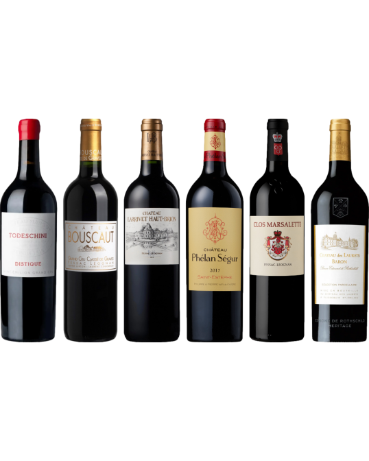 Bordeaux Rosso Caso di Degustazione