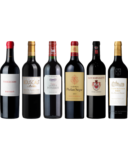 Bordeaux Rosso Caso di Degustazione