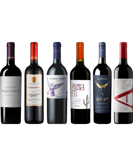 Pachetto di degustazione di Carmenere