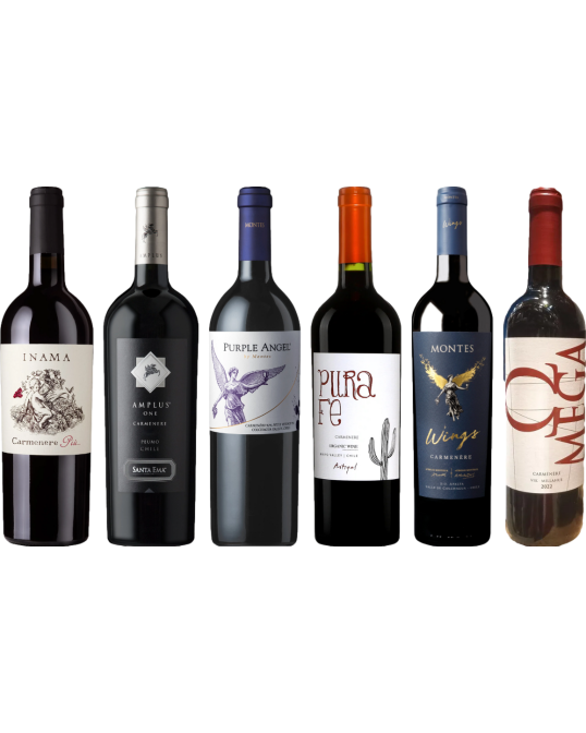 Pachetto di degustazione di Carmenere