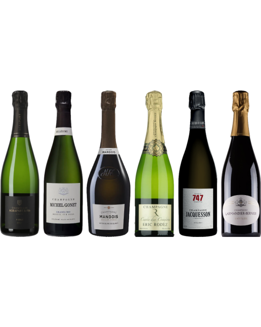 Caso Degustazione Champagne Grower Premium