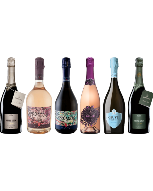 Prosecco Caso Degustazione Premium