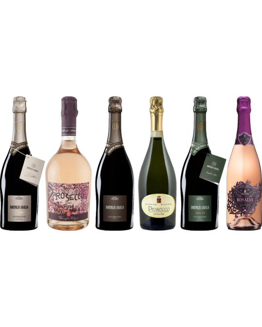 Prosecco Caso Degustazione Premium