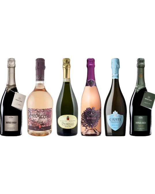 Prosecco Caso Degustazione Premium