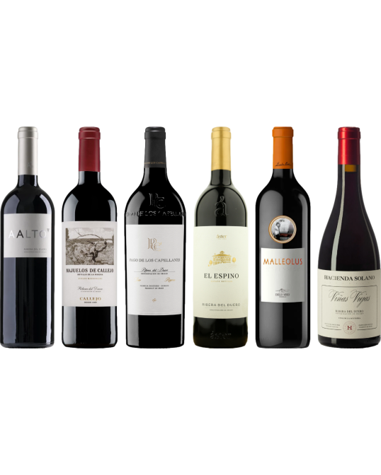 Ribera del Duero Caso Degustazione Premium