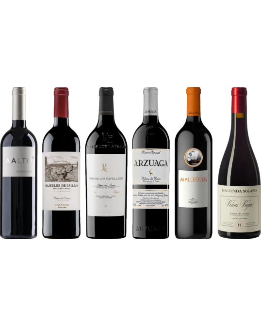 Ribera del Duero Caso Degustazione Premium