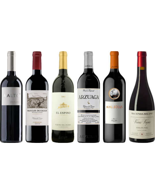 Ribera del Duero Caso Degustazione Premium