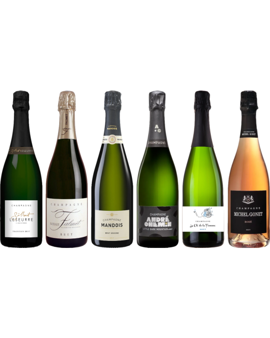 Pachetto di degustazione di Champagne di alto valore