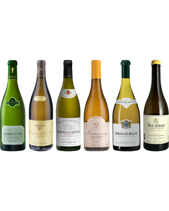 Pachetto di degustazione di White Burgundy